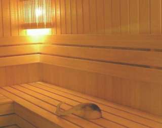 Сауна Сауна Русалочка в Ессентуках